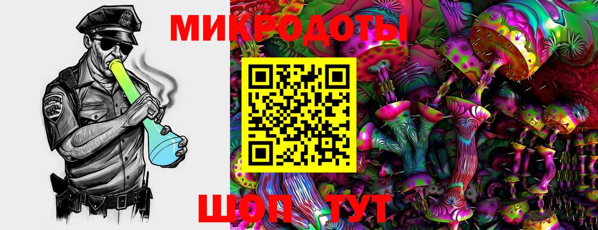 Галлюциногенные грибы Psilocybine cubensis Белая Калитва