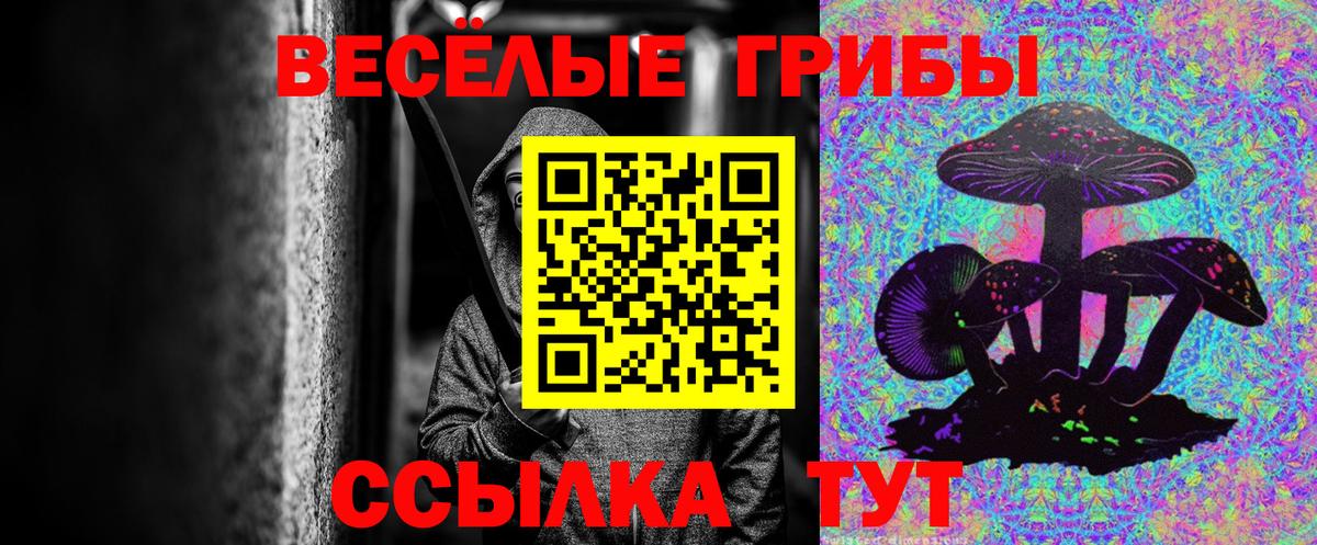 Галлюциногенные грибы прущие грибы  Вход с VPN  Белая Калитва 